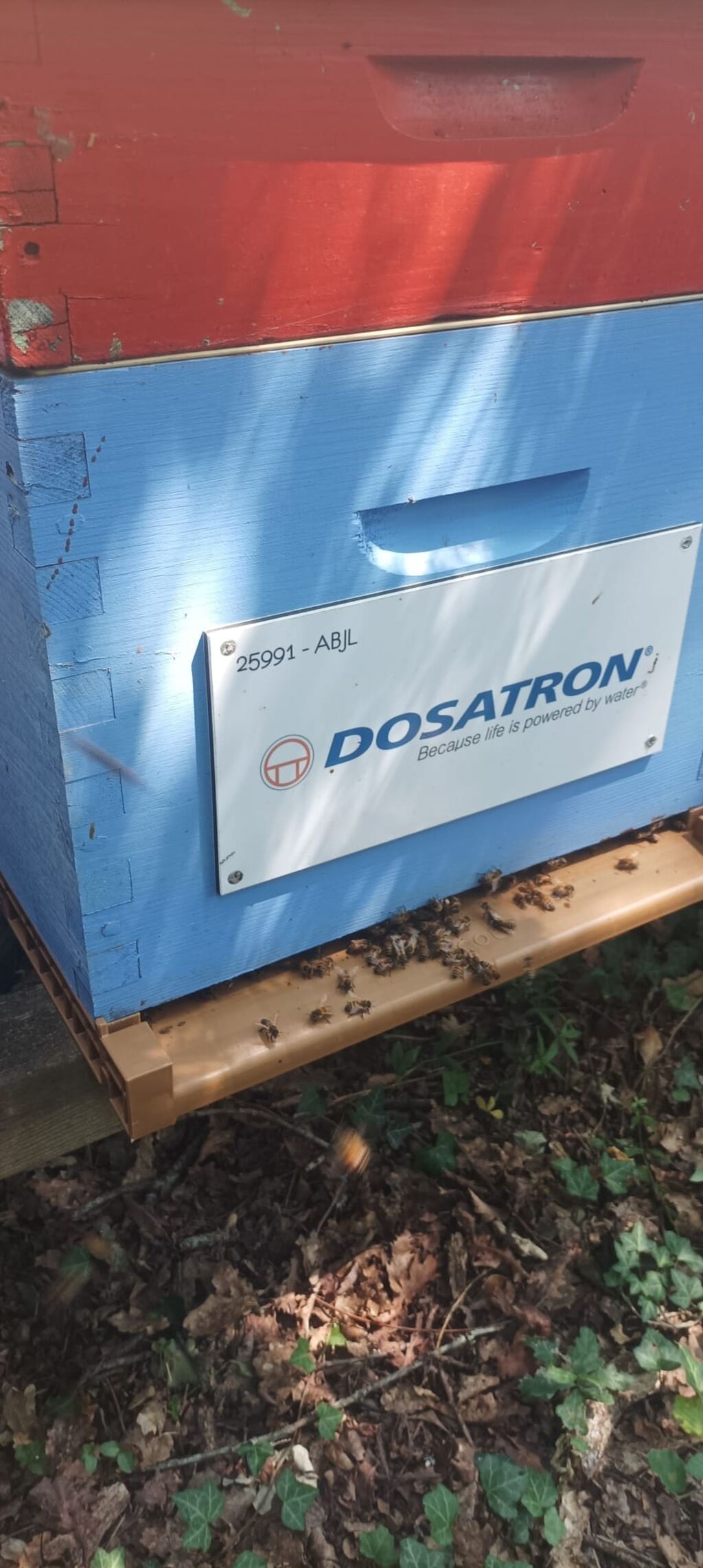 La ruche Dosatron international 