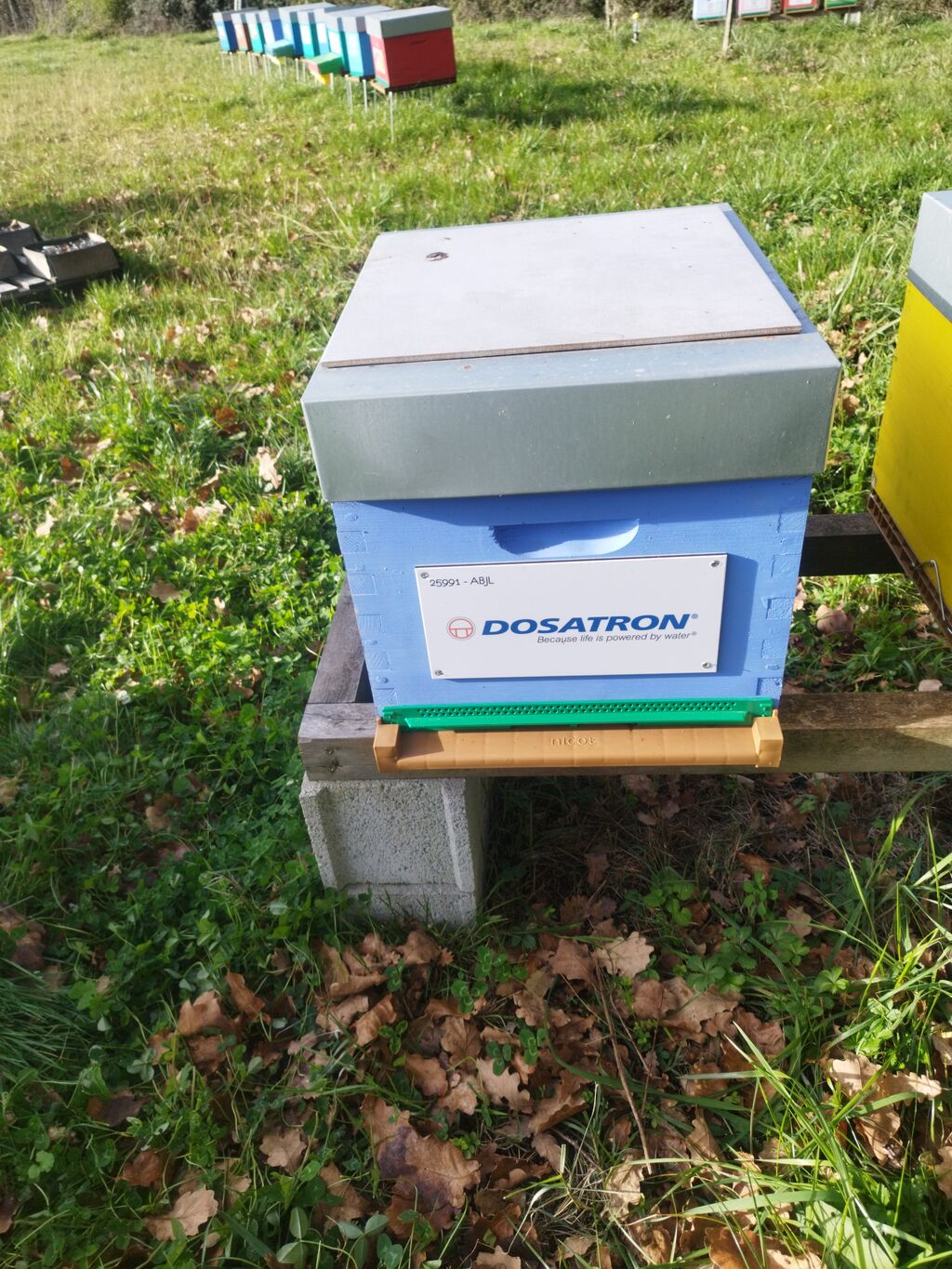 La ruche Dosatron international