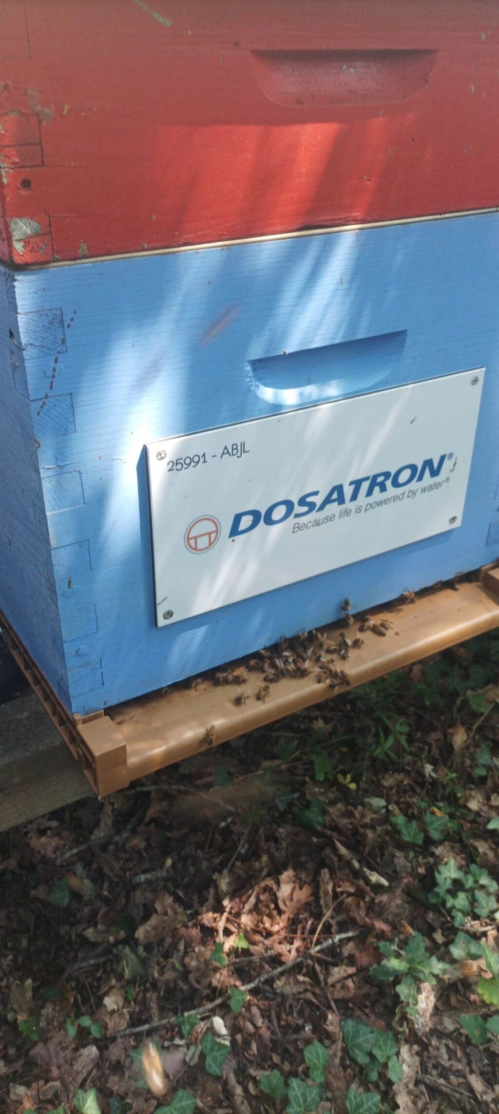 La ruche Dosatron international 