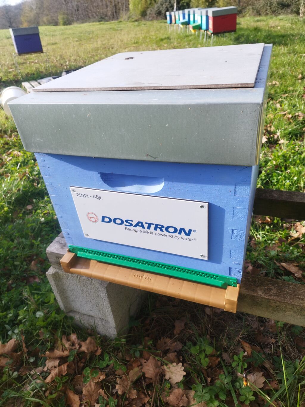 La ruche Dosatron international