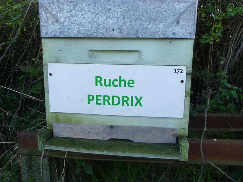 La ruche Perdrix