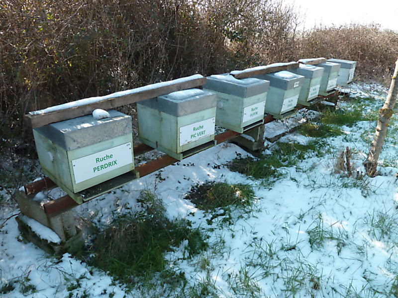 La ruche Perdrix