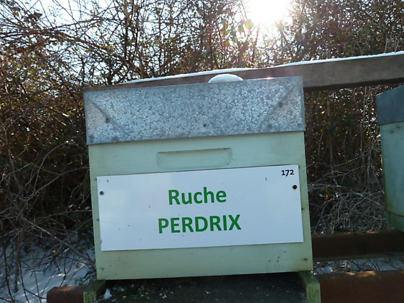 La ruche Perdrix