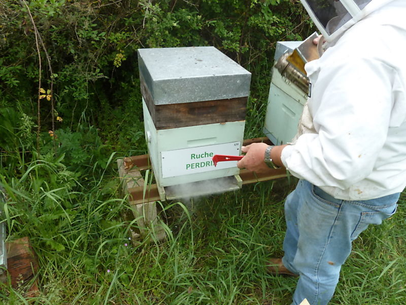 La ruche Perdrix