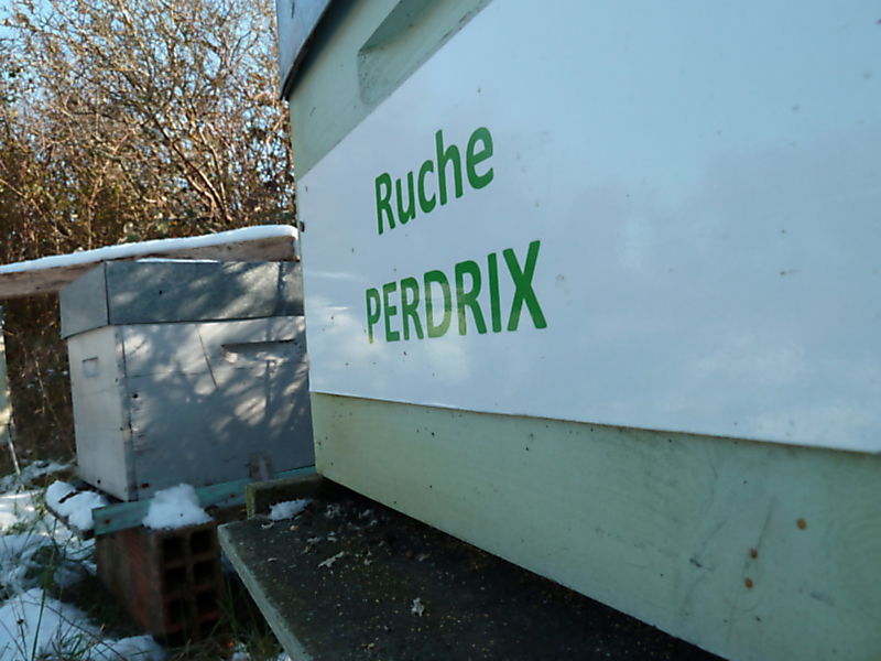 La ruche Perdrix