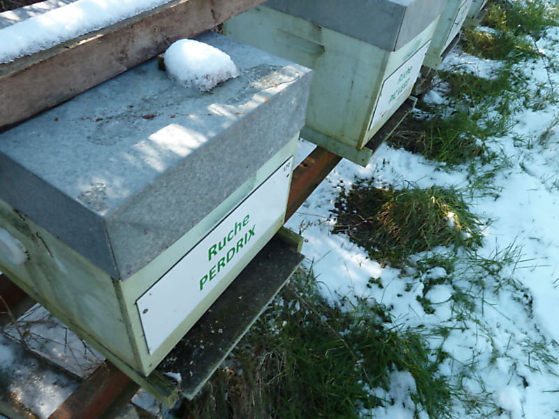La ruche Perdrix