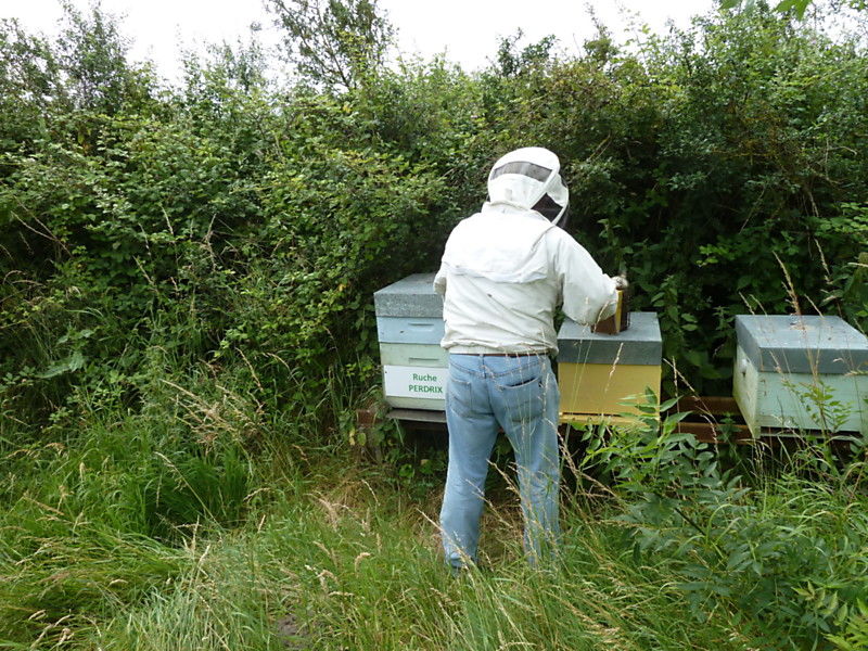La ruche Perdrix