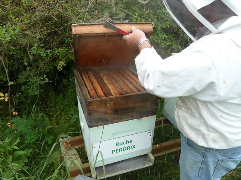 La ruche Perdrix