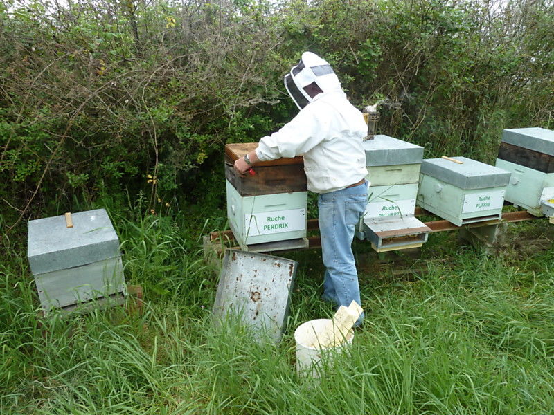 La ruche Perdrix