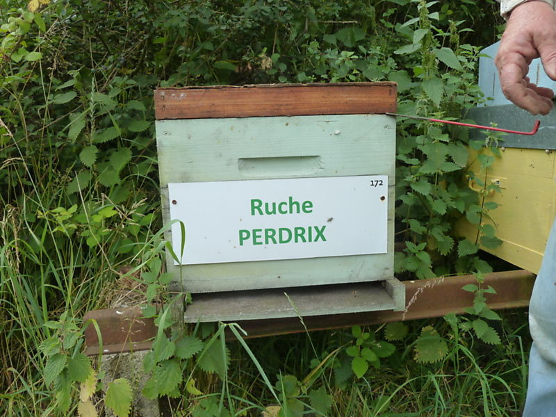 La ruche Perdrix