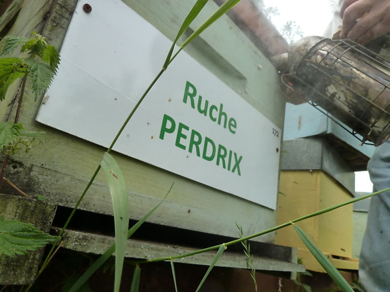La ruche Perdrix
