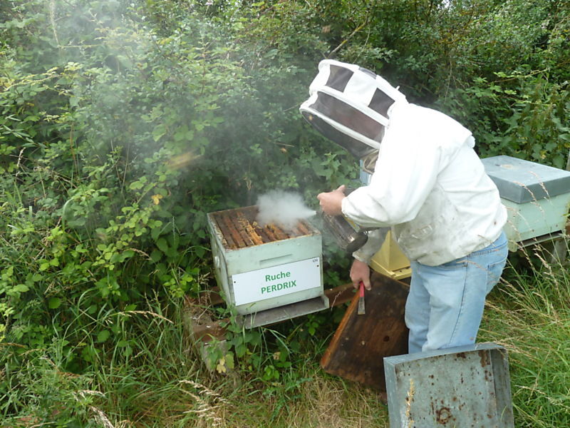 La ruche Perdrix