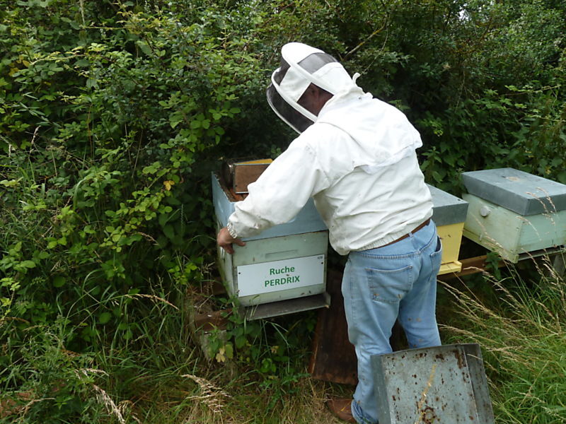 La ruche Perdrix