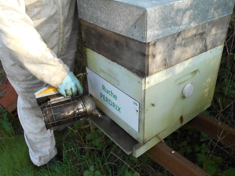 La ruche Perdrix