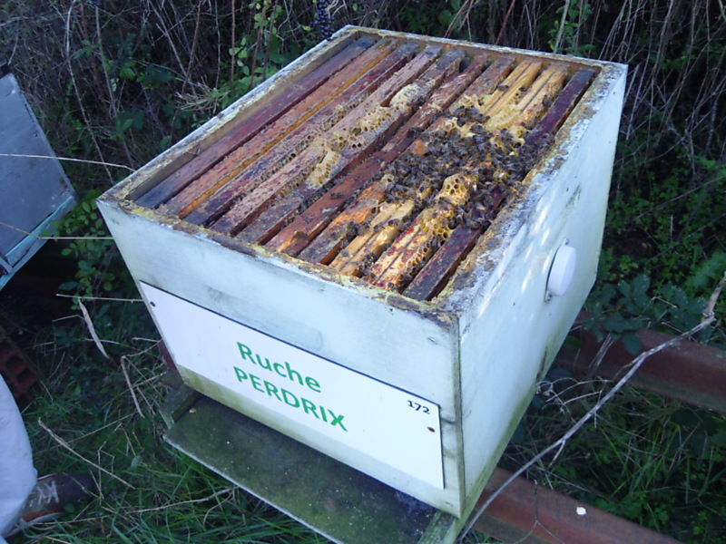 La ruche Perdrix