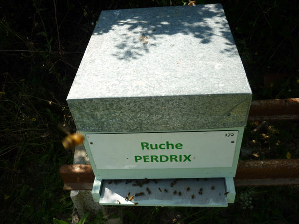 La ruche Perdrix