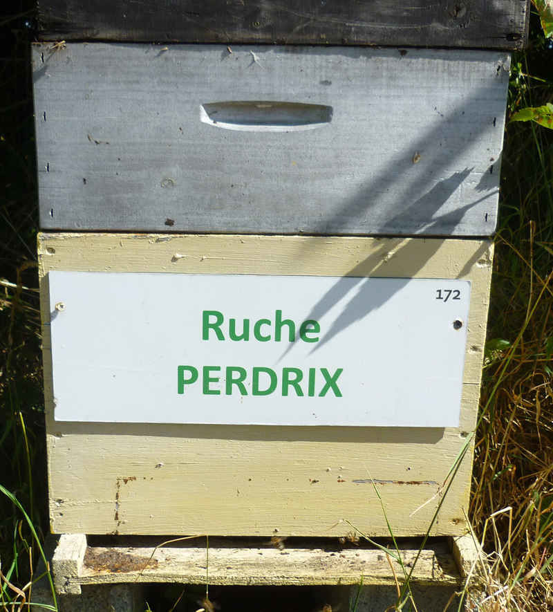 La ruche Perdrix