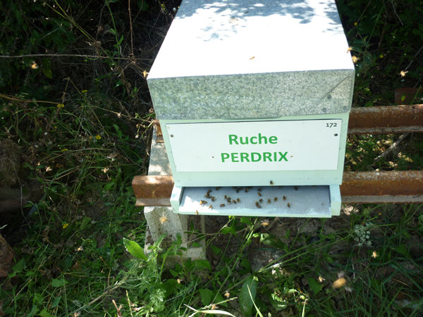 La ruche Perdrix