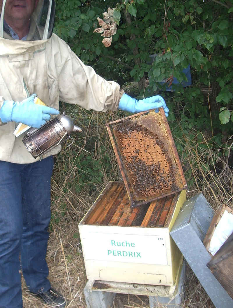 La ruche Perdrix