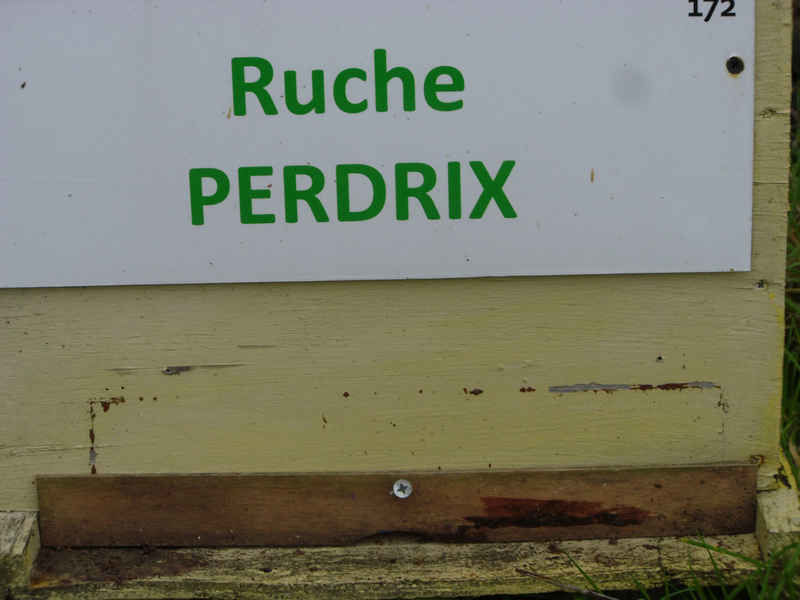 La ruche Perdrix