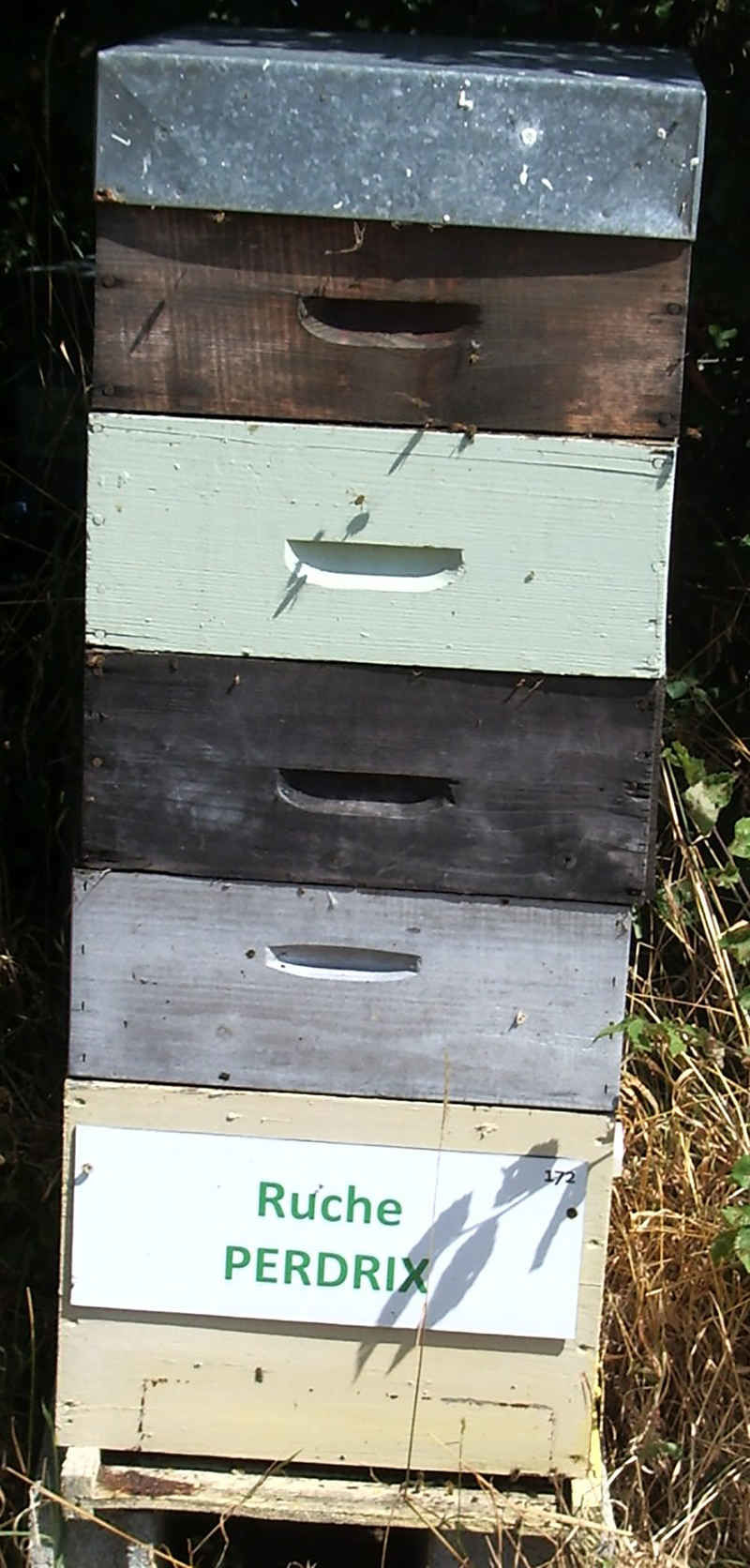 La ruche Perdrix