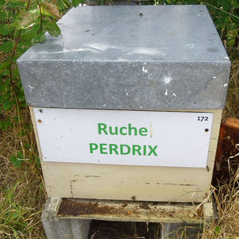 La ruche Perdrix
