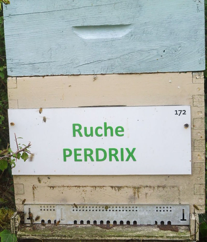 La ruche Perdrix