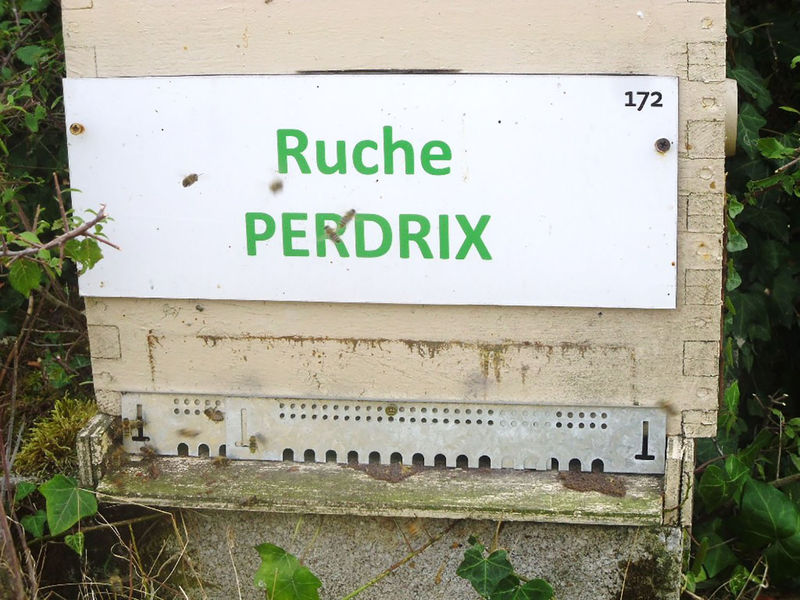 La ruche Perdrix