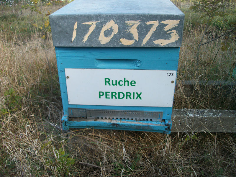 La ruche Perdrix