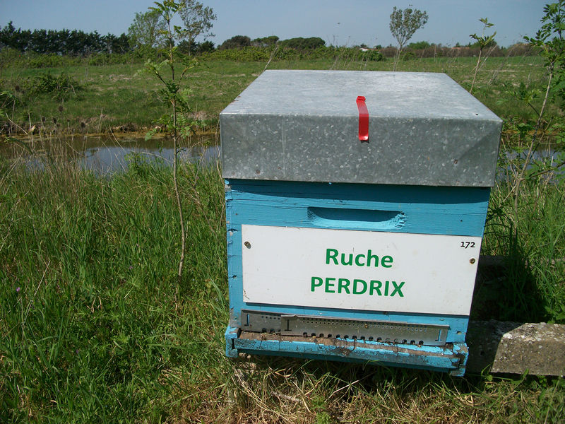 La ruche Perdrix