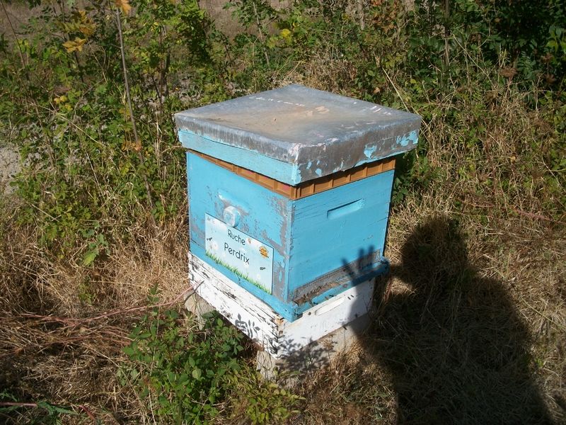 La ruche Perdrix