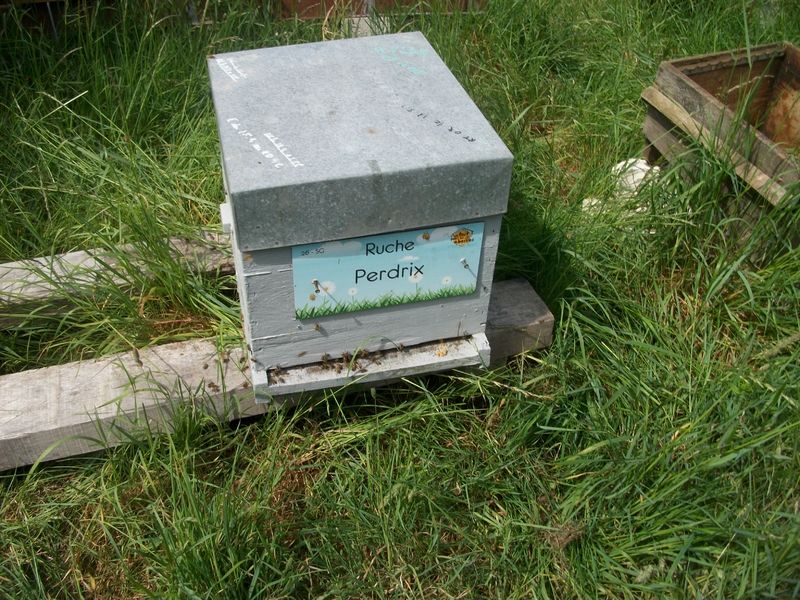 La ruche Perdrix