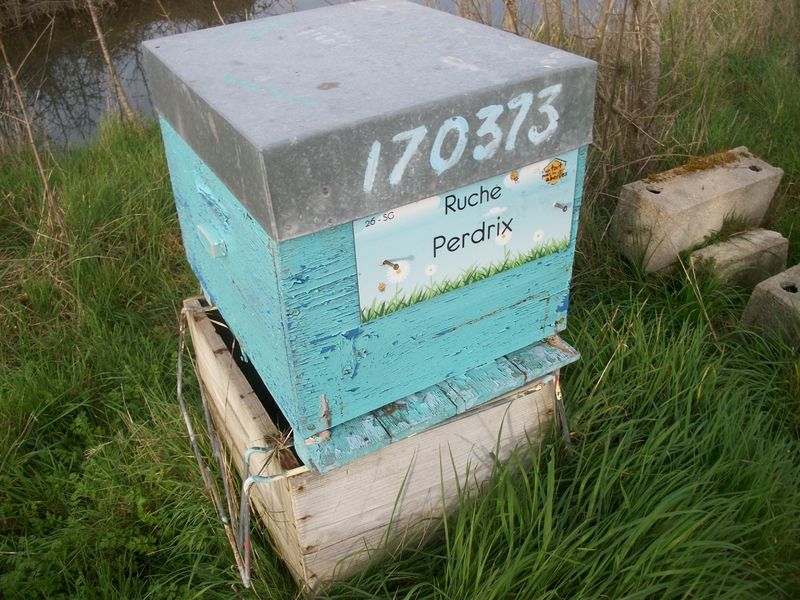 La ruche Perdrix
