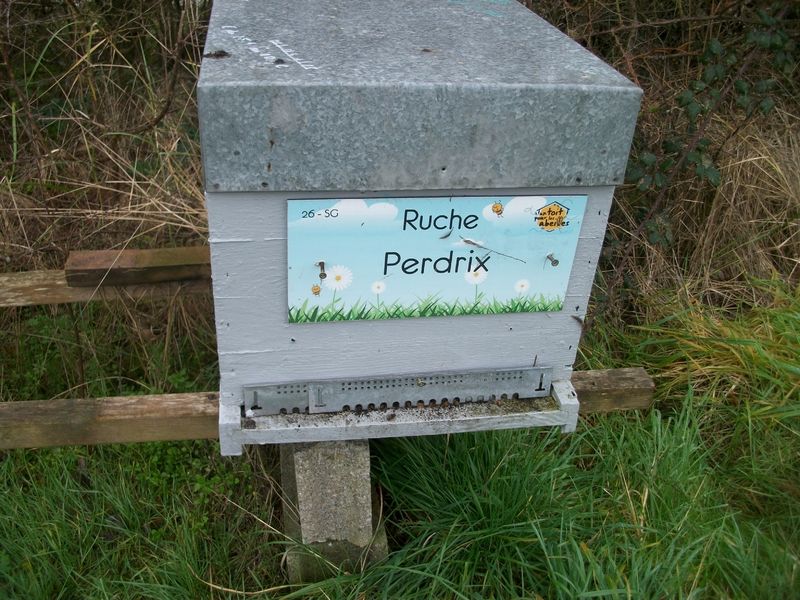 La ruche Perdrix