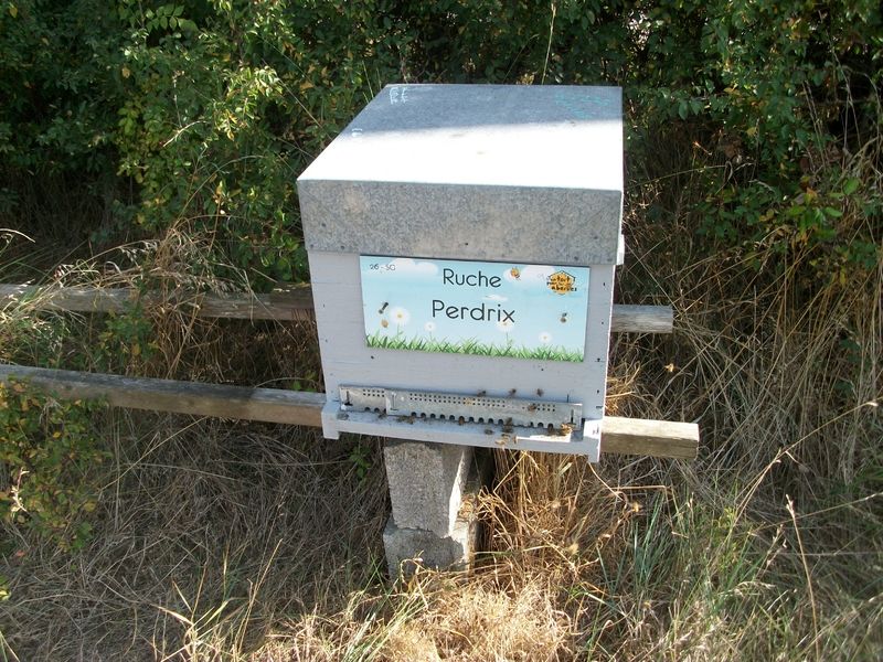 La ruche Perdrix
