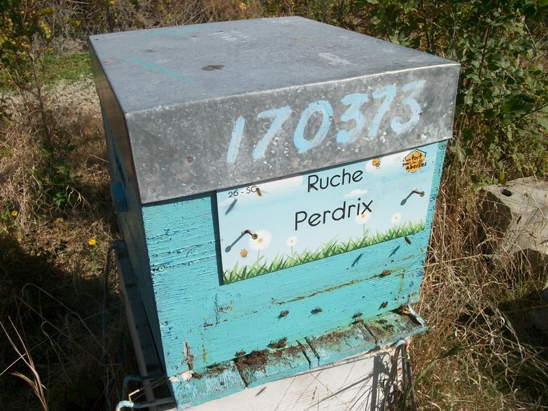 La ruche Perdrix