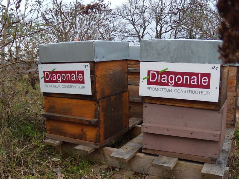 La ruche Diagonale