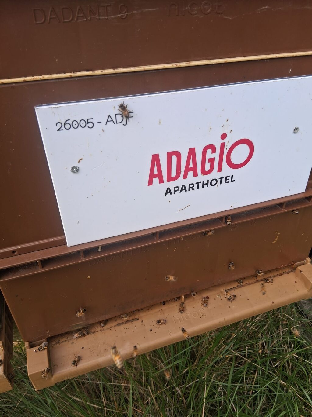 La ruche Adagio Access Paris Vanves Porte de Versailles