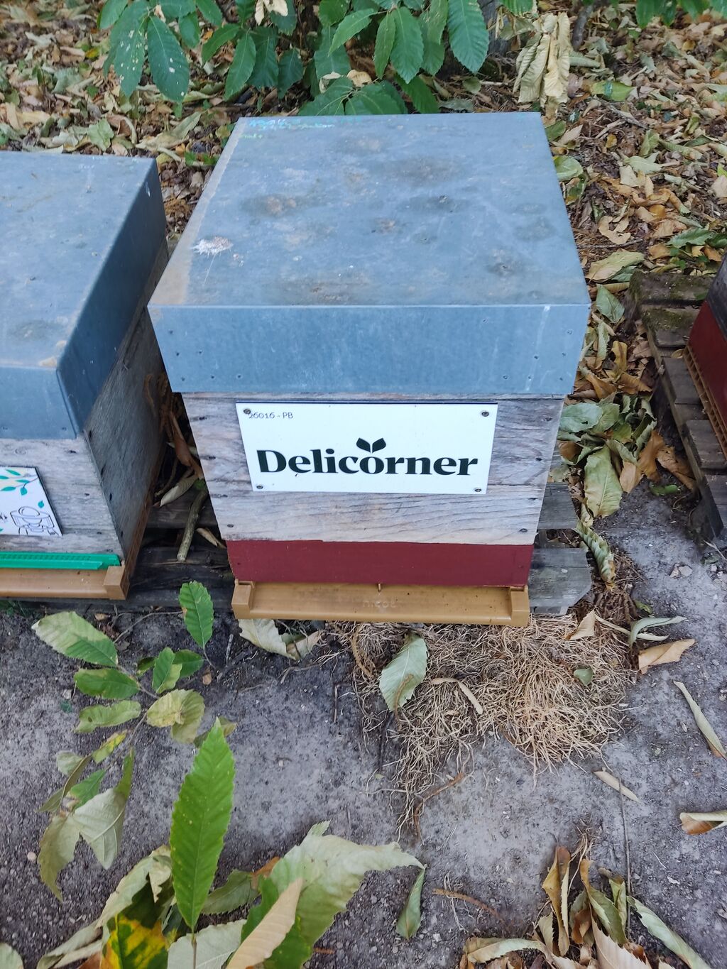 La ruche Delicorner
