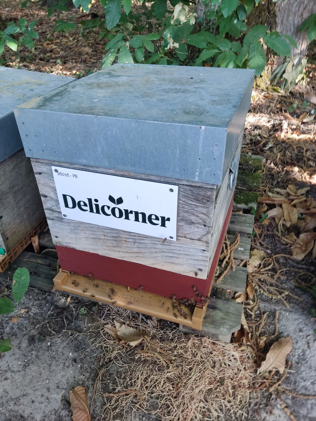 La ruche Delicorner