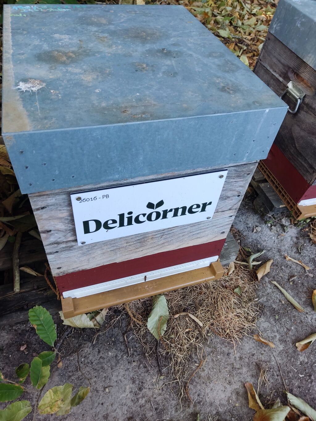 La ruche Delicorner