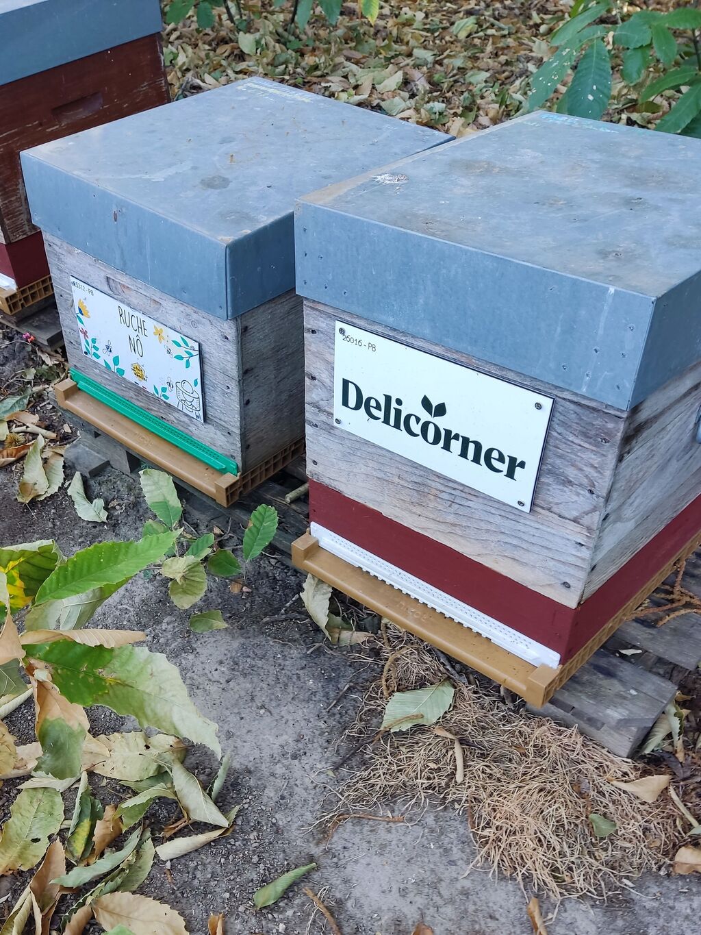 La ruche Delicorner