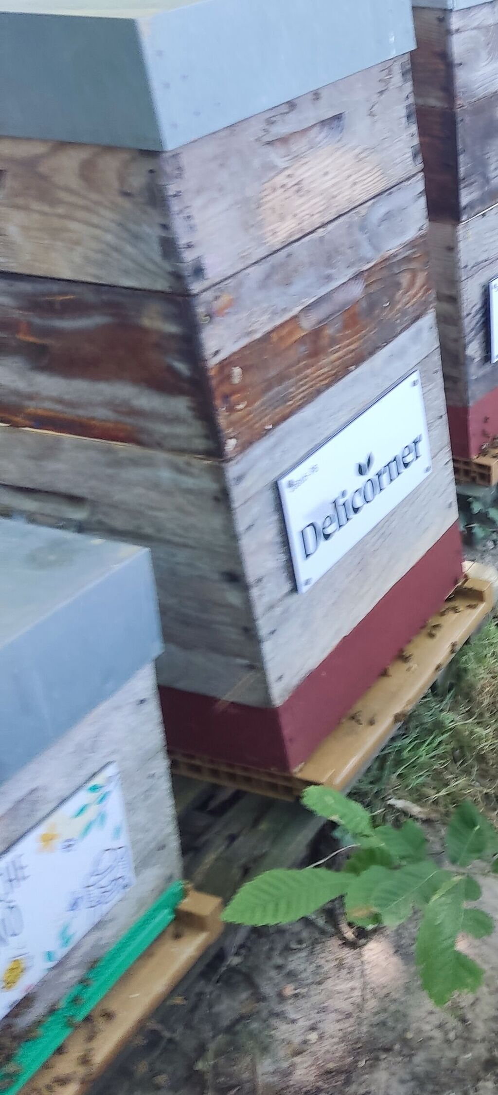 La ruche Delicorner
