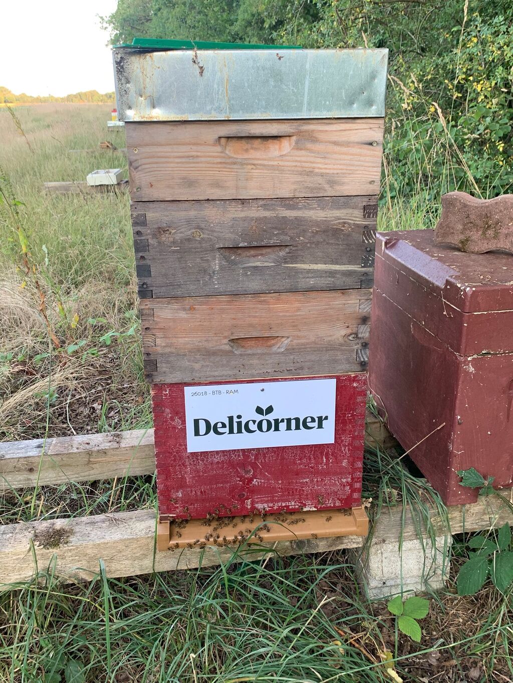La ruche Delicorner