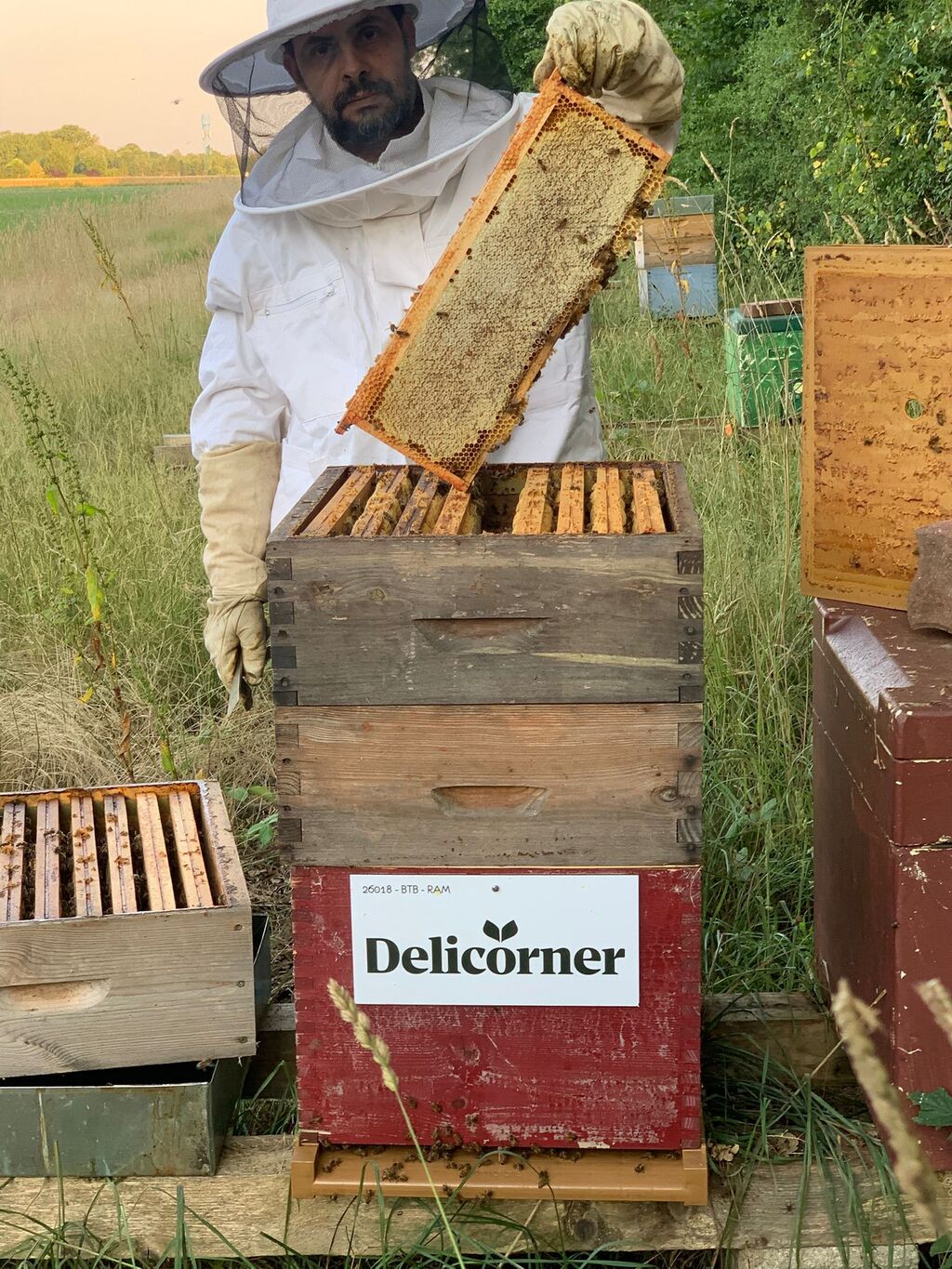 La ruche Delicorner