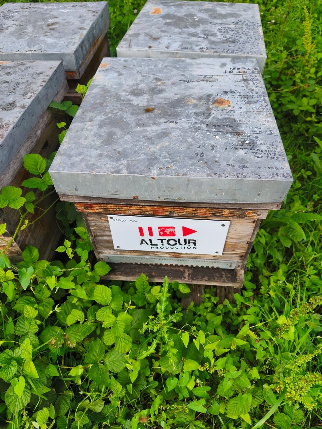 La ruche ALTOUR PRODUCTION