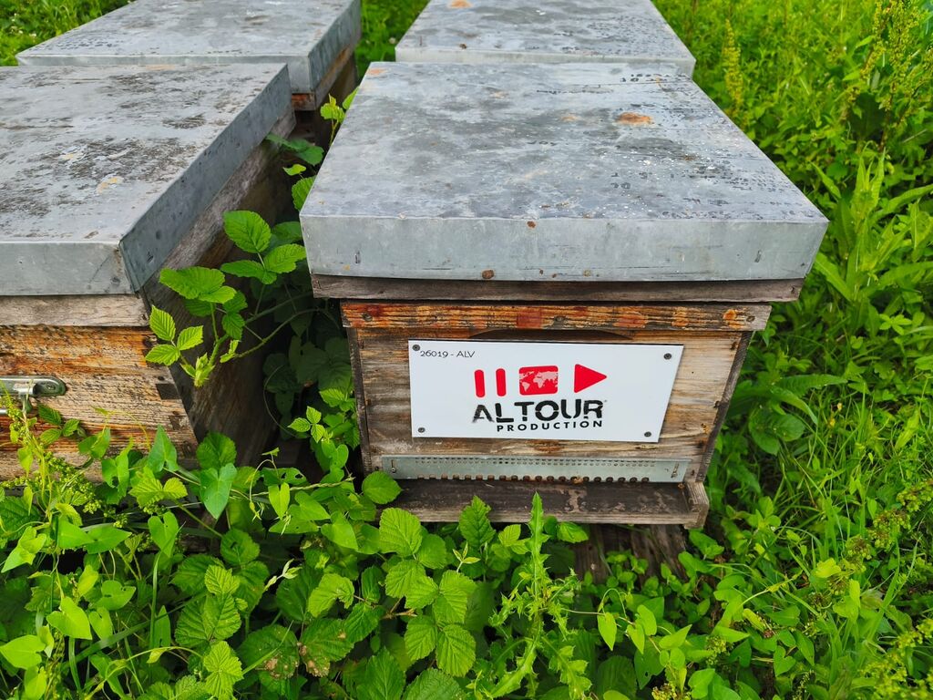 La ruche ALTOUR PRODUCTION