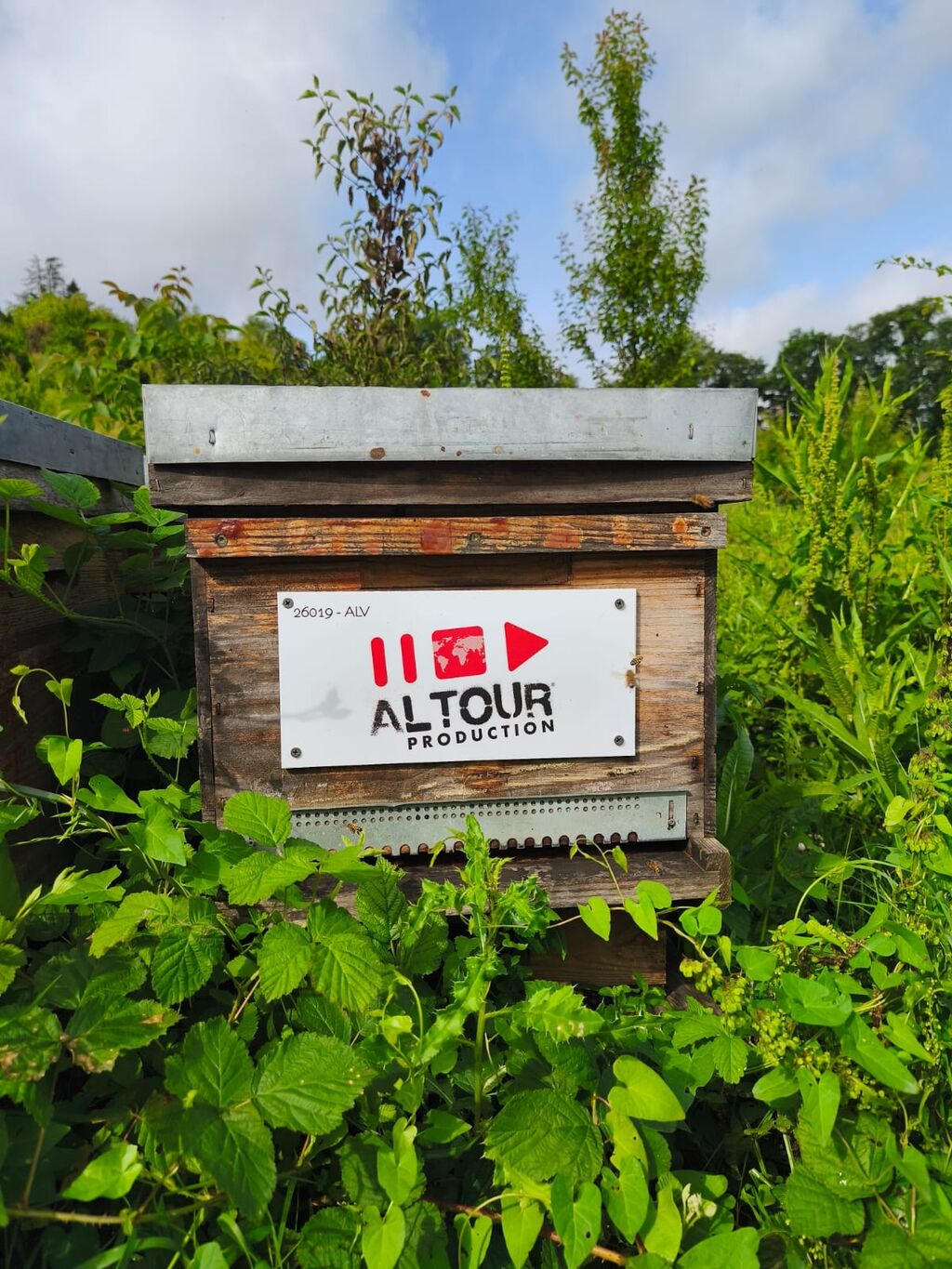 La ruche ALTOUR PRODUCTION