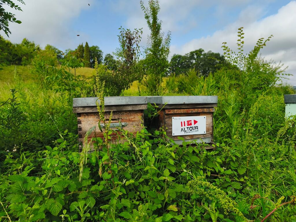 La ruche ALTOUR PRODUCTION