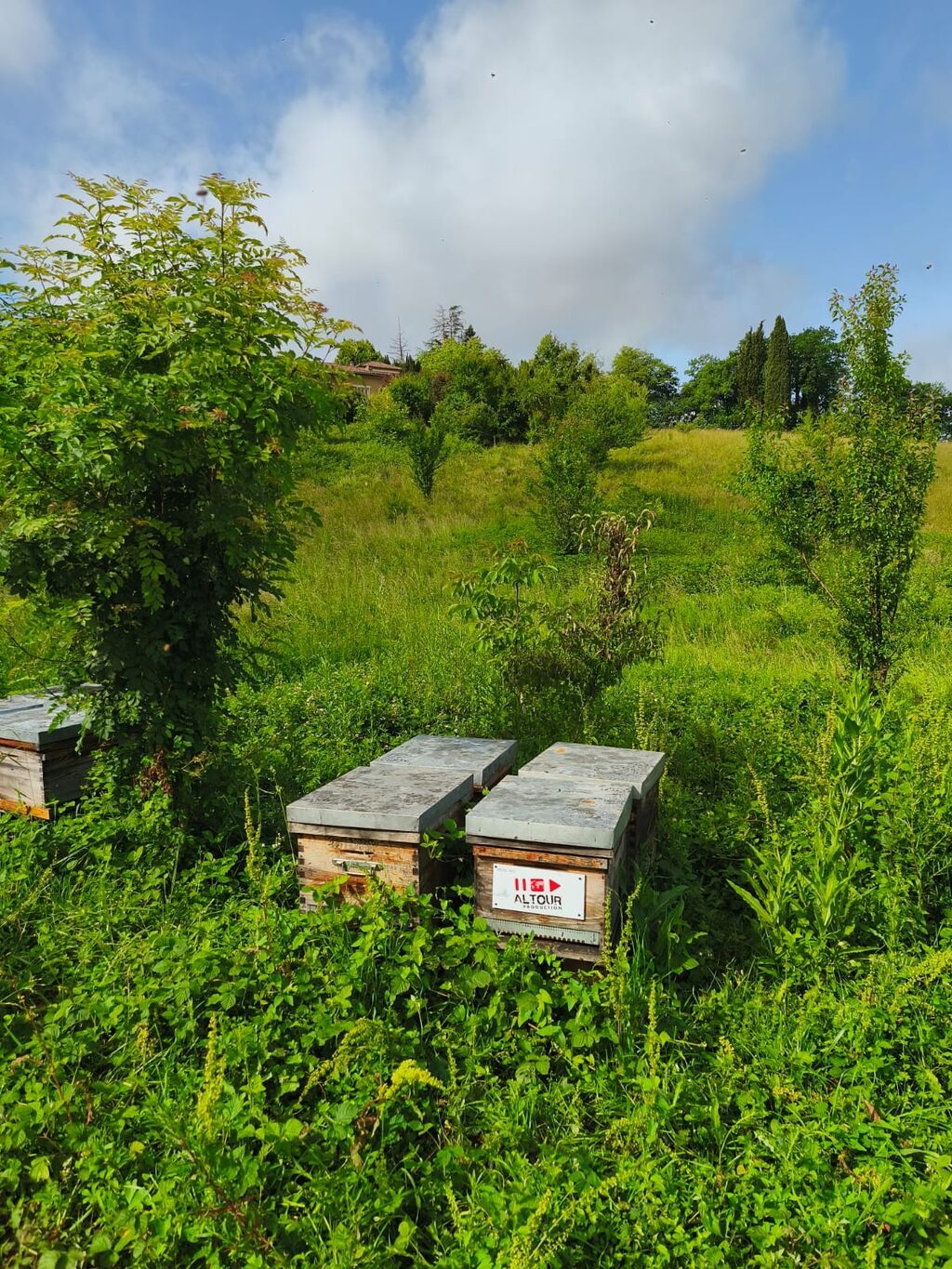 La ruche ALTOUR PRODUCTION